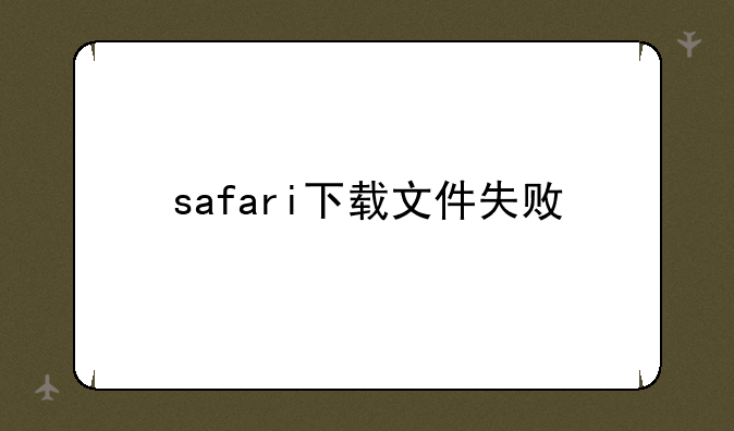 safari下载文件失败