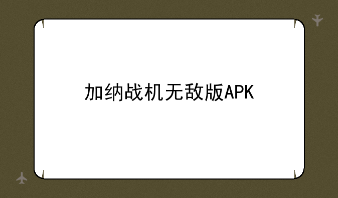 加纳战机无敌版APK