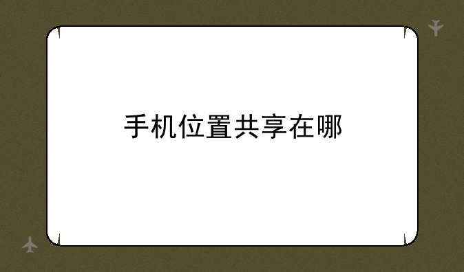 手机位置共享在哪