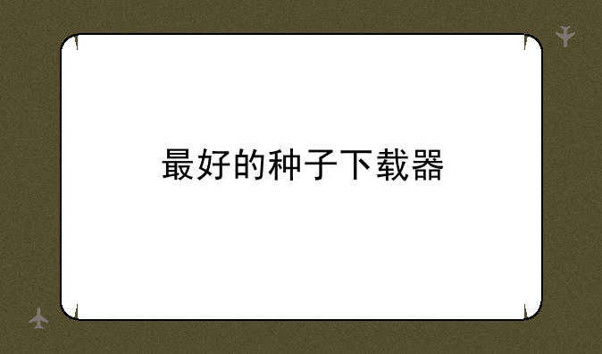 最好的种子下载器