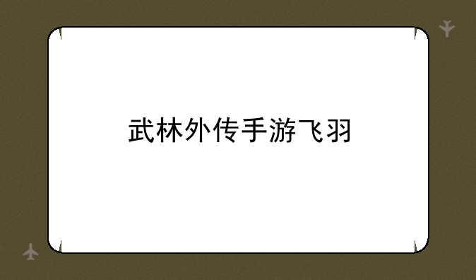 武林外传手游飞羽