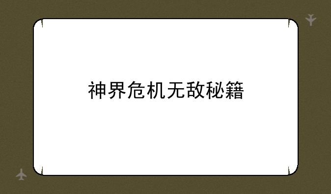 神界危机无敌秘籍
