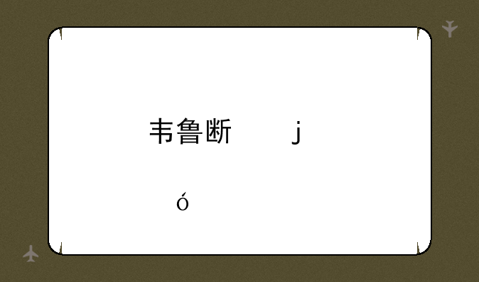 韦鲁斯皮肤价格表