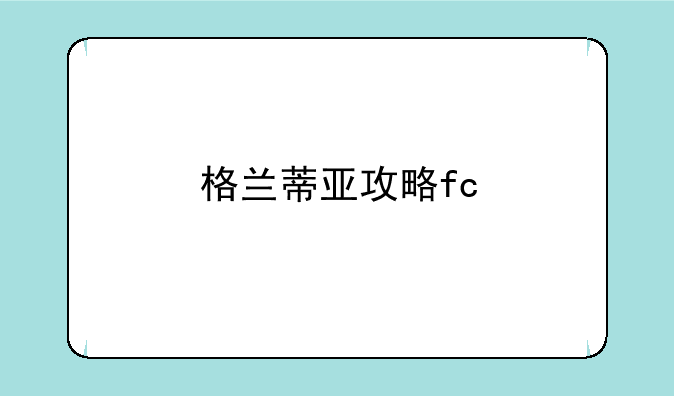 格兰蒂亚攻略fc