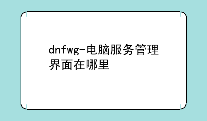 dnfwg-电脑服务管理界面在哪里