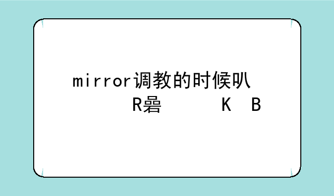 mirror调教的时候可以改视角吗