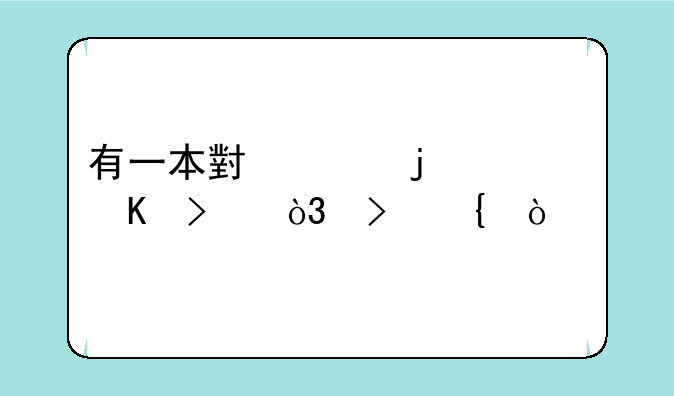 有一本小说的主角叫，叶飞？