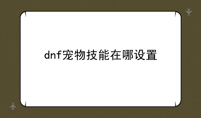 dnf宠物技能在哪设置