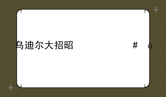 乌迪尔大招是什么？