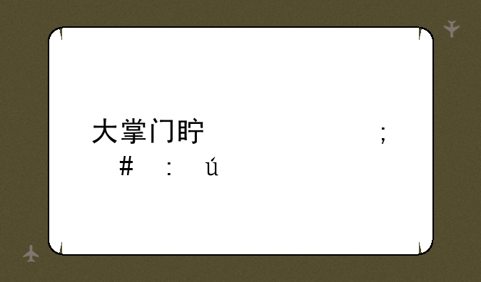 大掌门真元怎么获得