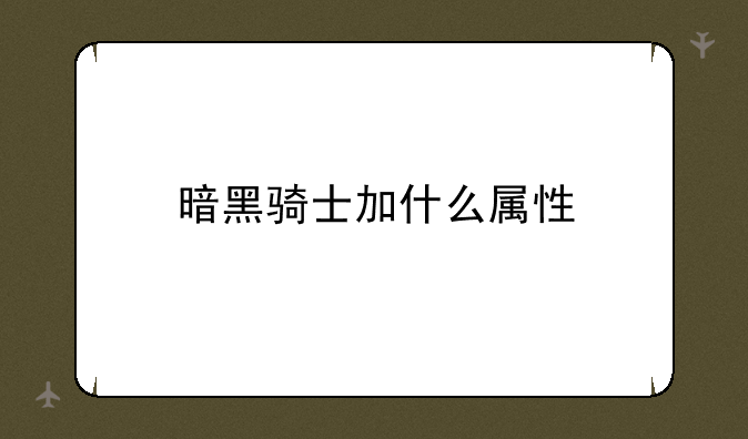 暗黑骑士加什么属性