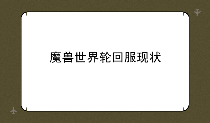 魔兽世界轮回服现状