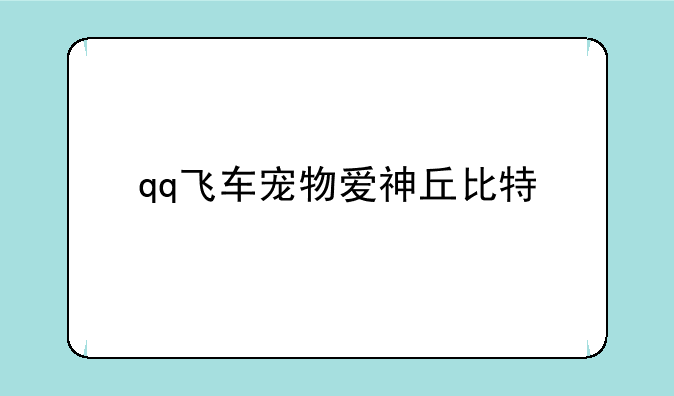 qq飞车宠物爱神丘比特