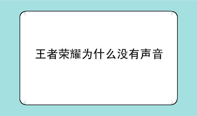 王者荣耀为什么没有声音