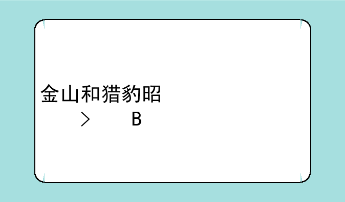 金山和猎豹是一家公司吗