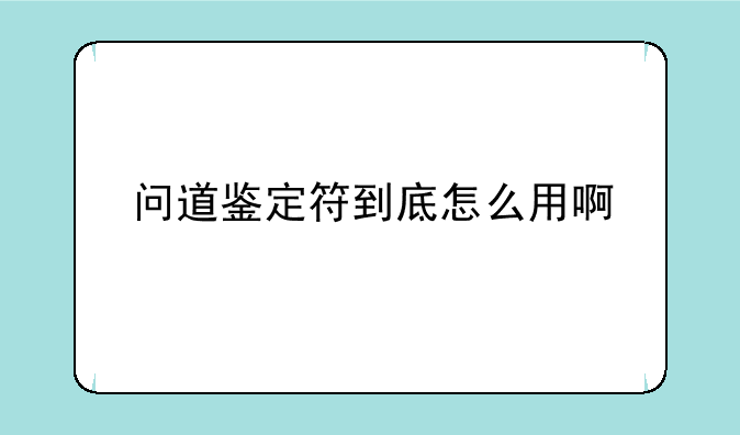 问道鉴定符到底怎么用啊