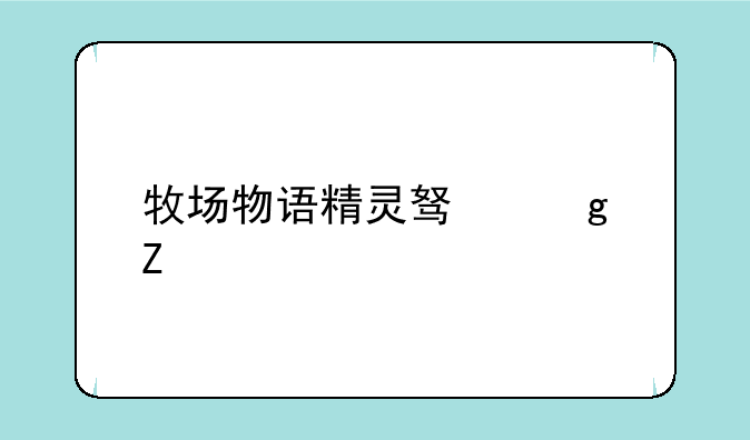 牧场物语精灵驿站新手攻略