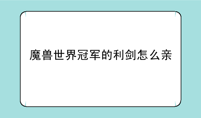 魔兽世界冠军的利剑怎么亲