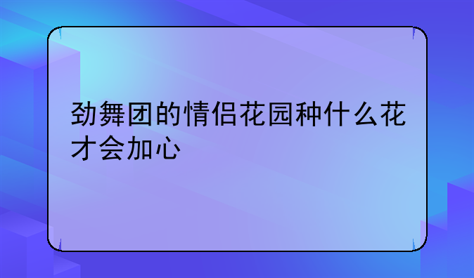 劲舞团的情侣花园种什么花才会加心