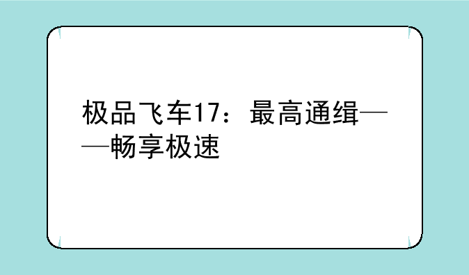 极品飞车17：最高通缉——畅享极速快感