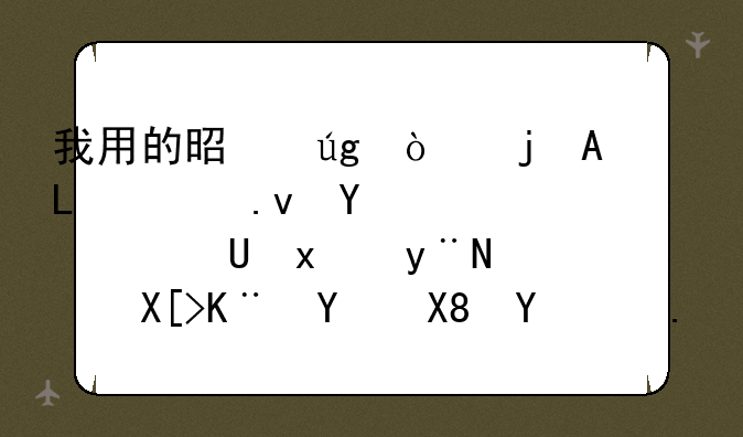 我用的是龙漫的PS2模拟器，0.99EX版的，关于图像插件有点问题。！