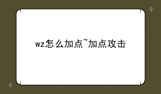 wz怎么加点~加点攻击