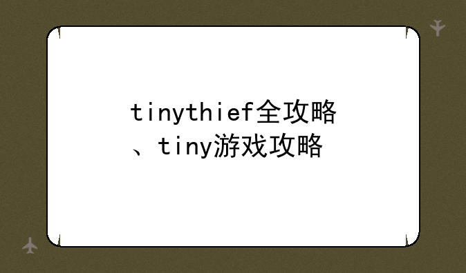 tinythief全攻略、tiny游戏攻略