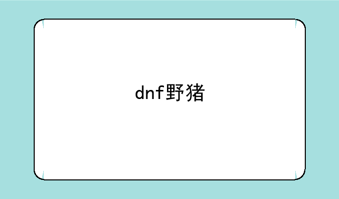 dnf野猪