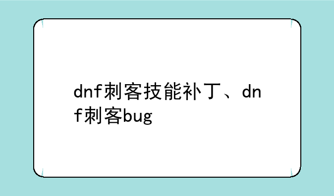 dnf刺客技能补丁、dnf刺客bug