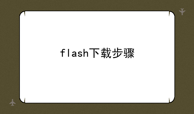 flash下载步骤