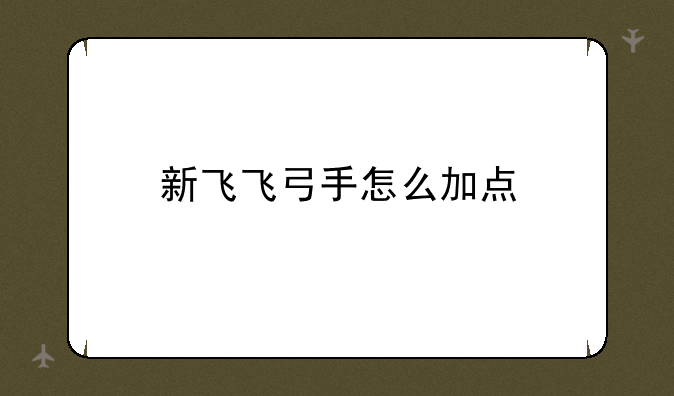 新飞飞弓手怎么加点