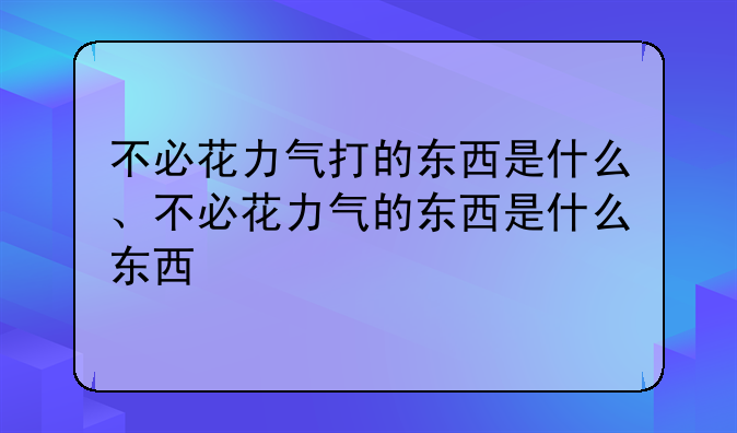 不必花力气打的东西是什么、不必花力气的东西是什么东西