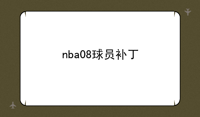 nba08球员补丁